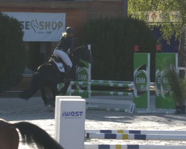 Tournoi Équestre Richelsdorf 2026