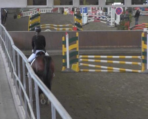 Hallenturnier Freudenberg 2015