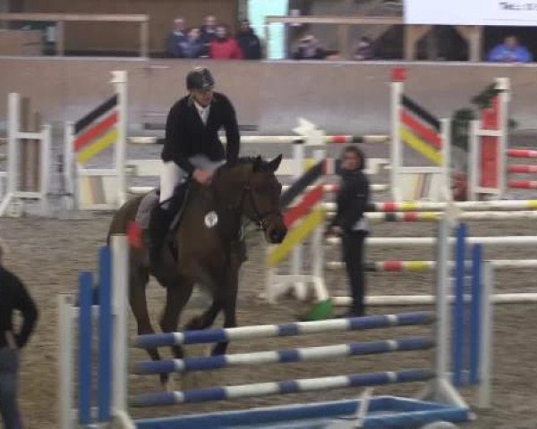 Hallenturnier Springe 2015