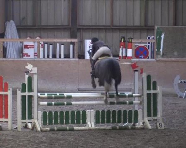 Hallenturnier Springe 2015