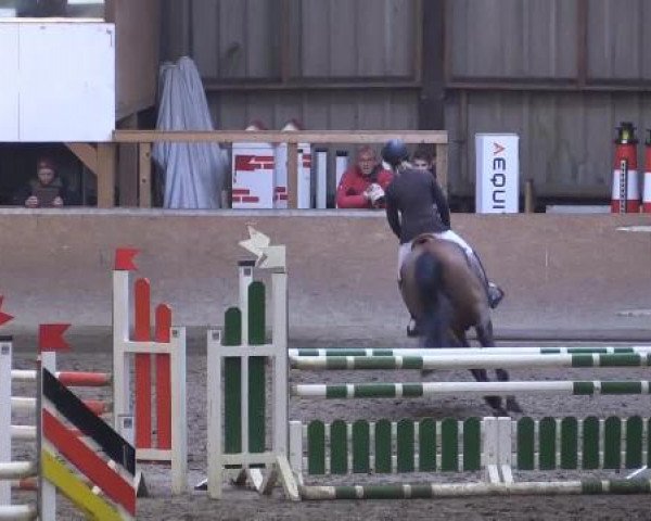 Hallenturnier Springe 2015