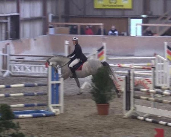 Hallenturnier Springe 2015