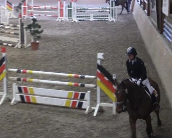 Hallenturnier Springe 2015