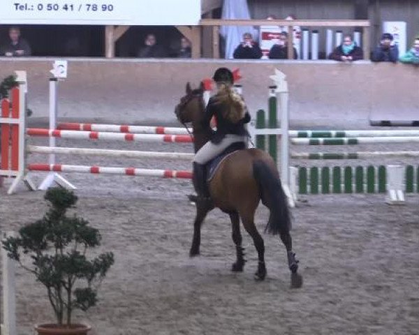 Hallenturnier Springe 2015