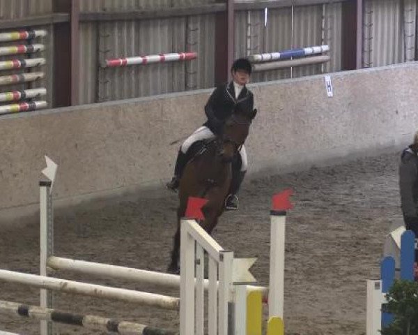 Hallenturnier Springe 2015