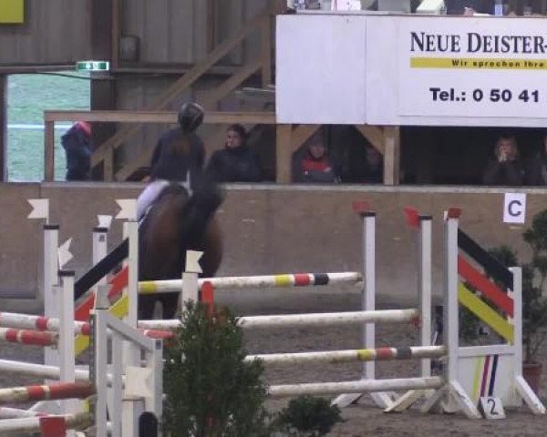 Hallenturnier Springe 2015