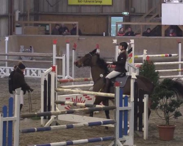 Hallenturnier Springe 2015