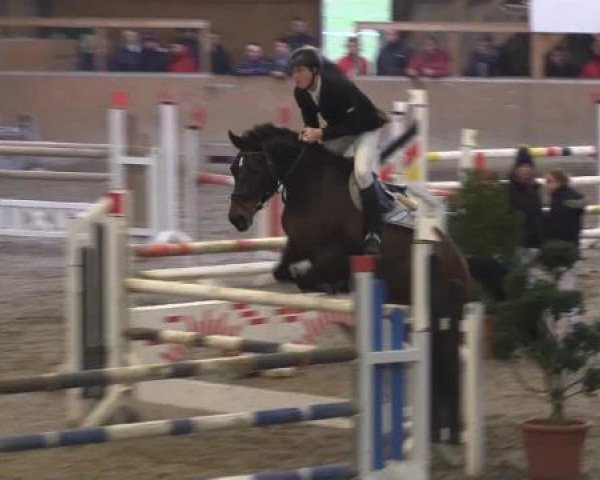 Hallenturnier Springe 2015