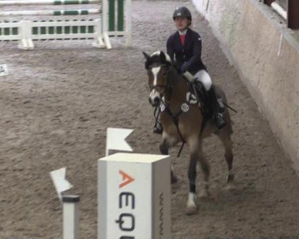 Hallenturnier Springe 2015