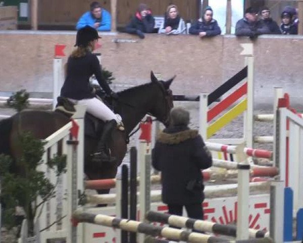 Hallenturnier Springe 2015