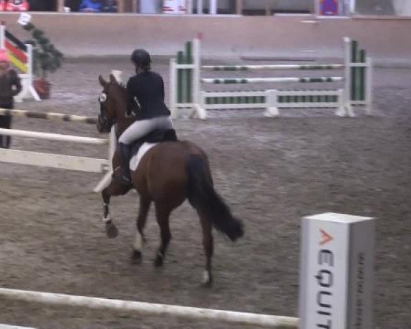 Hallenturnier Springe 2015