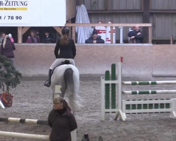 Hallenturnier Springe 2015
