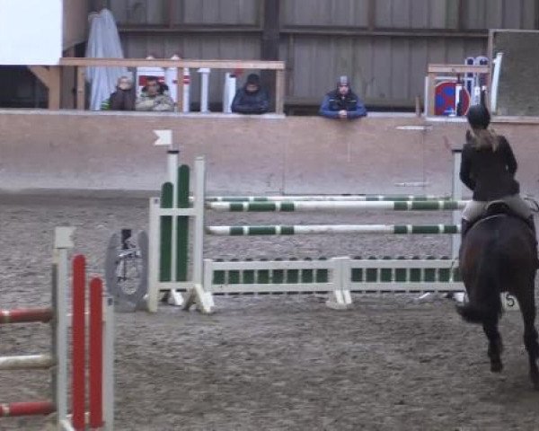 Hallenturnier Springe 2015