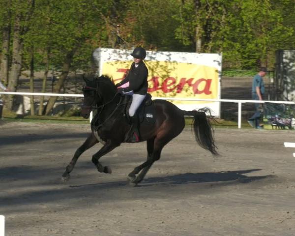Reitturnier Richelsdorf 2026