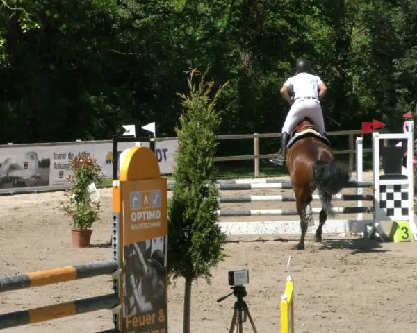 Rideturnering Hildesheim-Steuerwald 2026