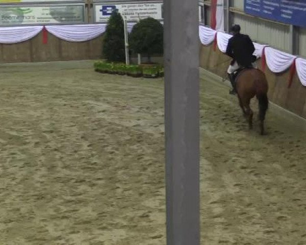 Spring-Event Goch 2015