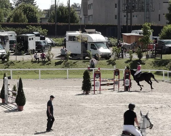 Pferdesporttage Bülach 2021