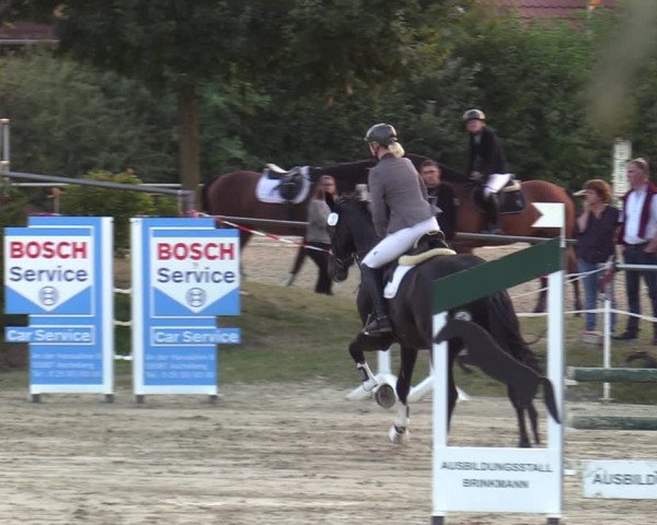 Reitturnier Ascheberg 2021
