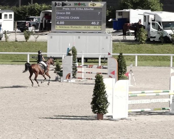 Pferdesporttage Bülach 2021