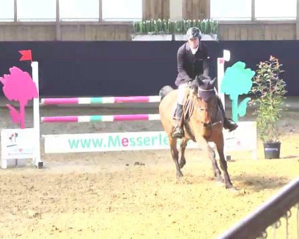 Hallenspringturnier Weilheim/Teck 2015