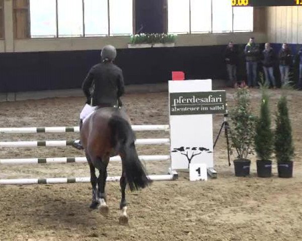 Hallenspringturnier Weilheim/Teck 2015