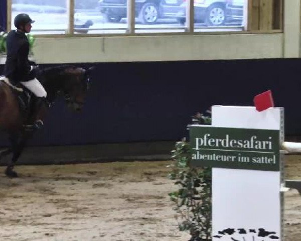 Hallenspringturnier Weilheim/Teck 2015
