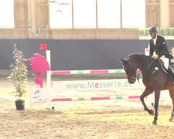 Hallenspringturnier Weilheim/Teck 2015
