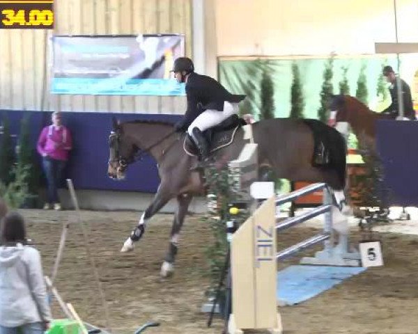 Hallenspringturnier Weilheim/Teck 2015