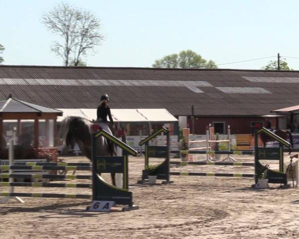 Equestrian Show Havixbeck-Hohenholte 2026