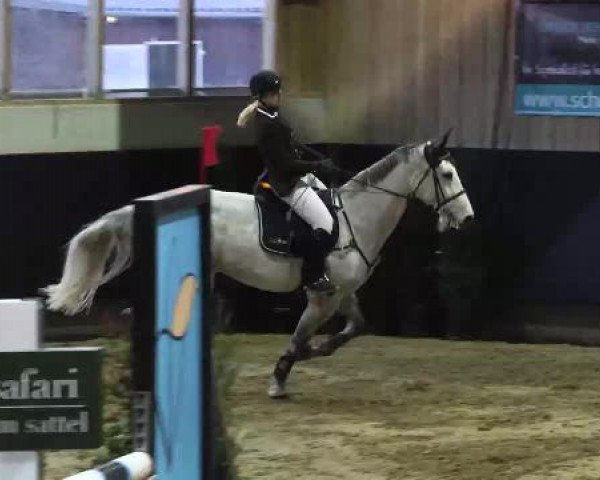 Hallenspringturnier Weilheim/Teck 2015