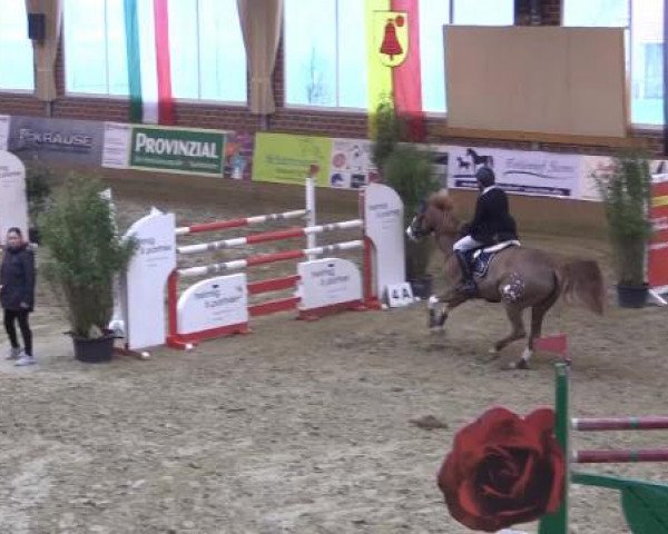Rosendorf Classics 2015