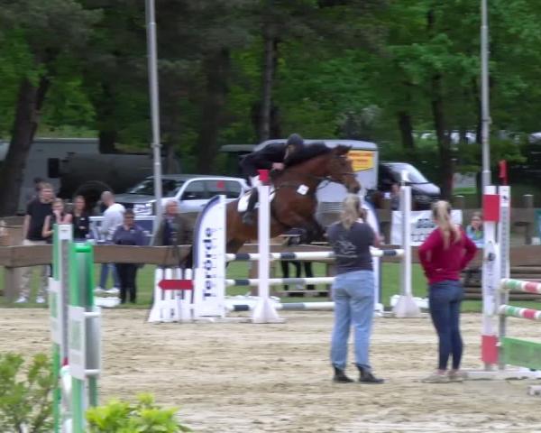 Torneo Equestre Wesel-Obrighoven 2026