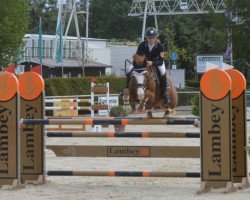 jumper Diamant de Quincey (French Pony, 2013, from Hunter's Scendix)