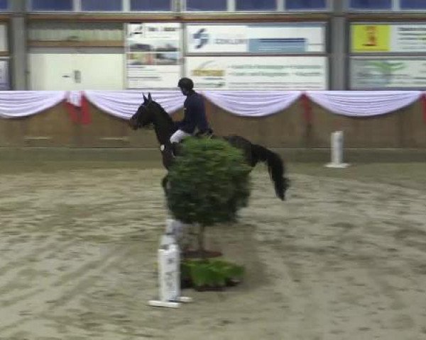 Spring-Event Goch 2015