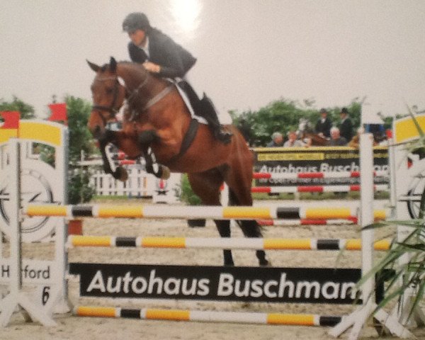 Zuchtstute Fina Donna (Oldenburger, 2011, von Favorit Ask)
