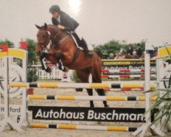 broodmare Fina Donna (Oldenburg, 2011, from Favorit Ask)