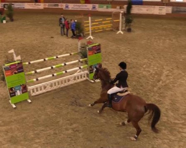 Rosendorf Classics 2015