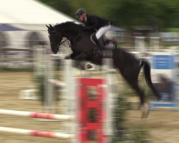 Torneo Equestre Lienen 2026