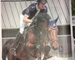 Springpferd Compton NT (Holsteiner, 2013, von Centurion)