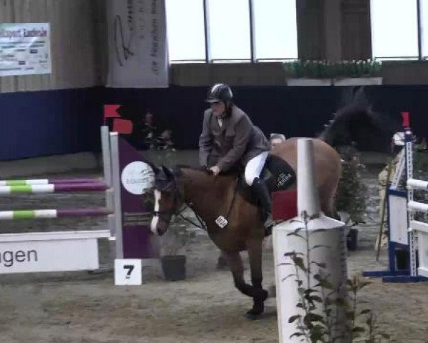 Hallenspringturnier Weilheim/Teck 2015
