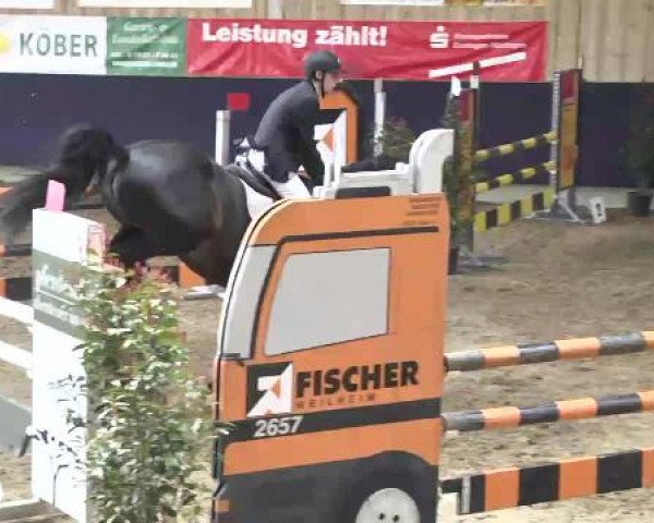Hallenspringturnier Weilheim/Teck 2015