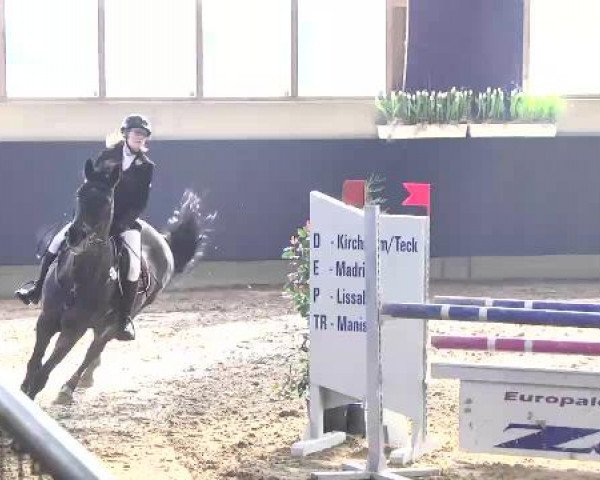 Hallenspringturnier Weilheim/Teck 2015