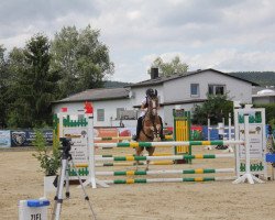 jumper Playboy (German Riding Pony, 2001, from Spanenland's Patrick)