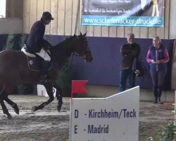 Hallenspringturnier Weilheim/Teck 2015