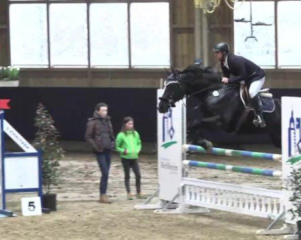 Hallenspringturnier Weilheim/Teck 2015