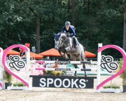 jumper Damaskus 57 (Hanoverian, 2015, from Diacontinus)