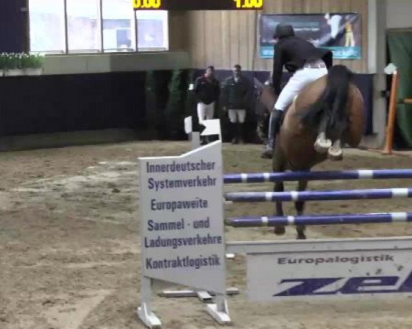 Hallenspringturnier Weilheim/Teck 2015