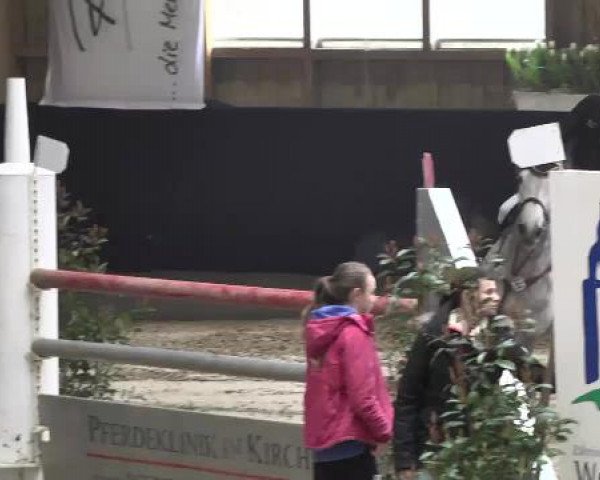 Hallenspringturnier Weilheim/Teck 2015