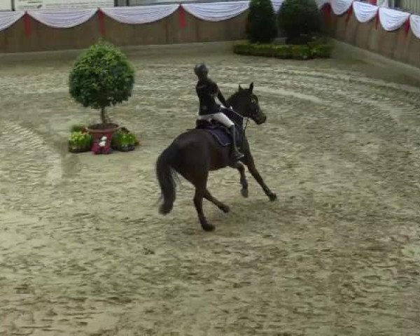 Spring-Event Goch 2015