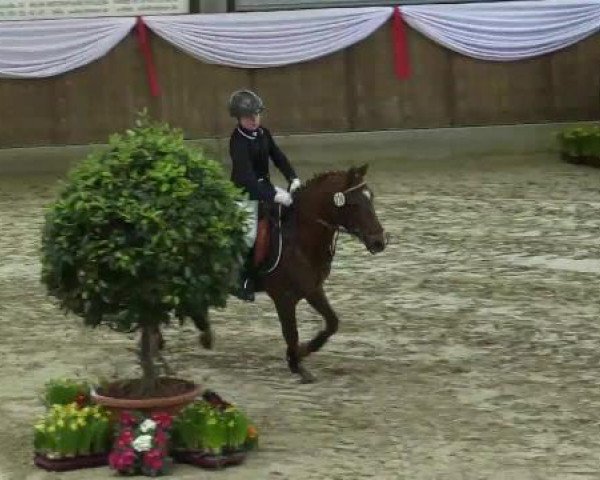 Spring-Event Goch 2015